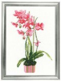 Набор для вышивания Риолис 1162 Розовая орхидея