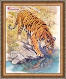 Тигр у реки