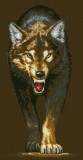 Волчица