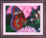 Набор для вышивания бисером Butterfly 102 Бабочка