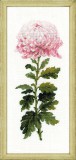 Набор для вышивания Риолис 1425 Нежный цветок