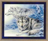 Пара волков на снегу