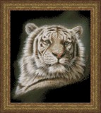 Портрет белого тигра