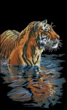 Тигр в реке