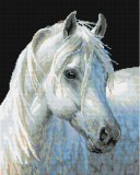 Алмазная мозаика на подрамнике 40х50 Белоснежка Белый конь